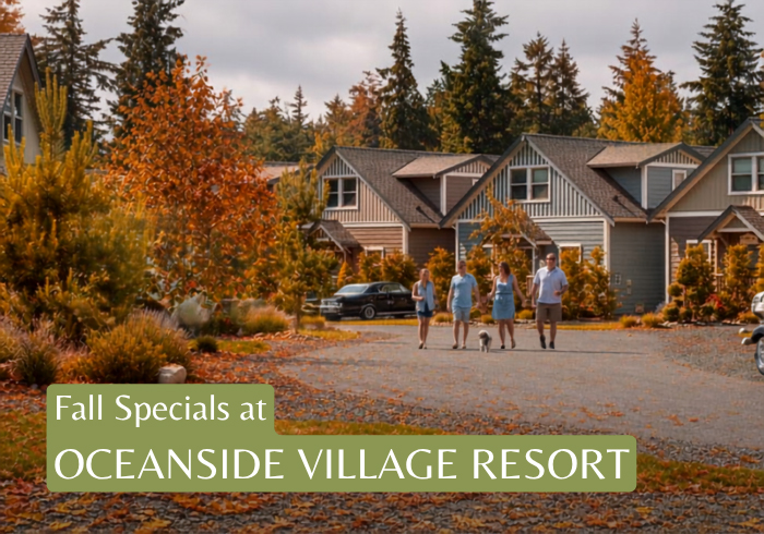 Fall Specials 2026